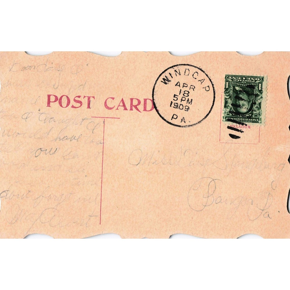 Antique 1909 Best Wishes Pansy Flower Postcard Wind Gap PA Scalloped Edge - Picture 2 of 2